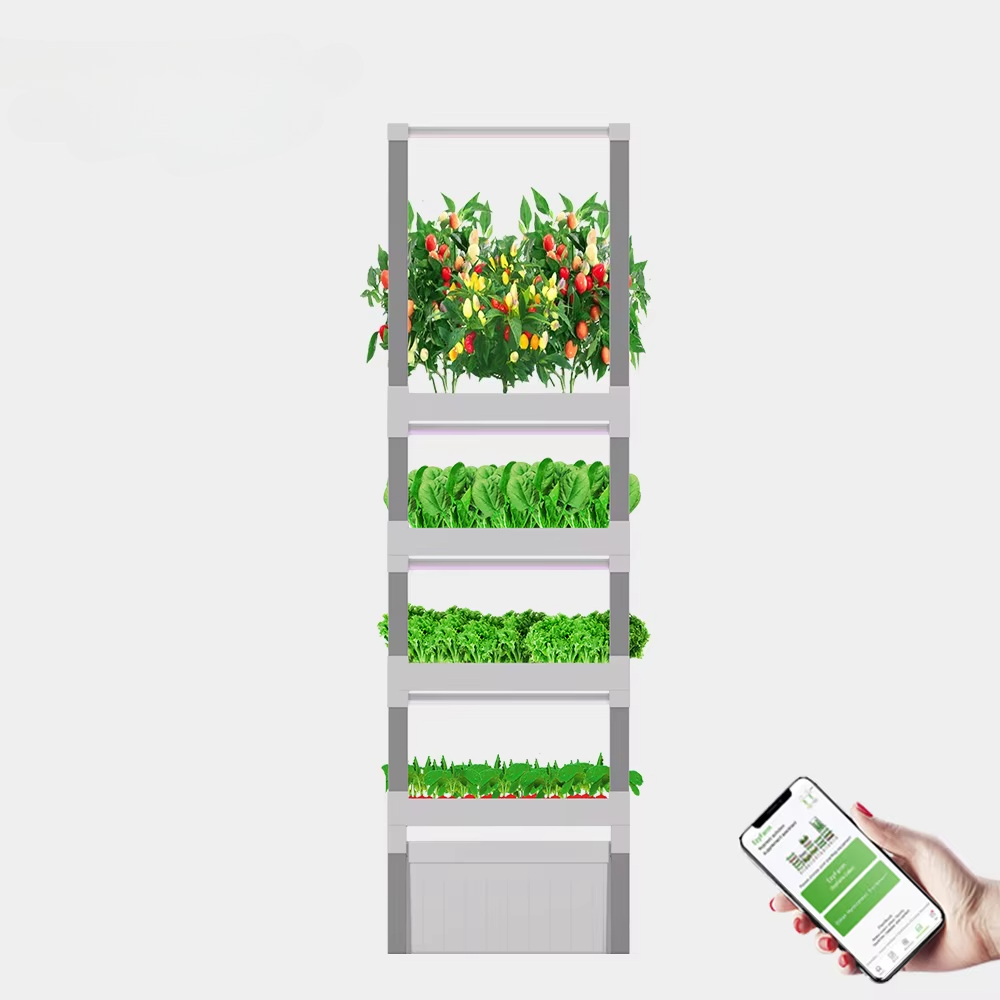 Sistem Grow Box Hidroponik Cin - Home Automation Systems Diy ulasan dan harga
