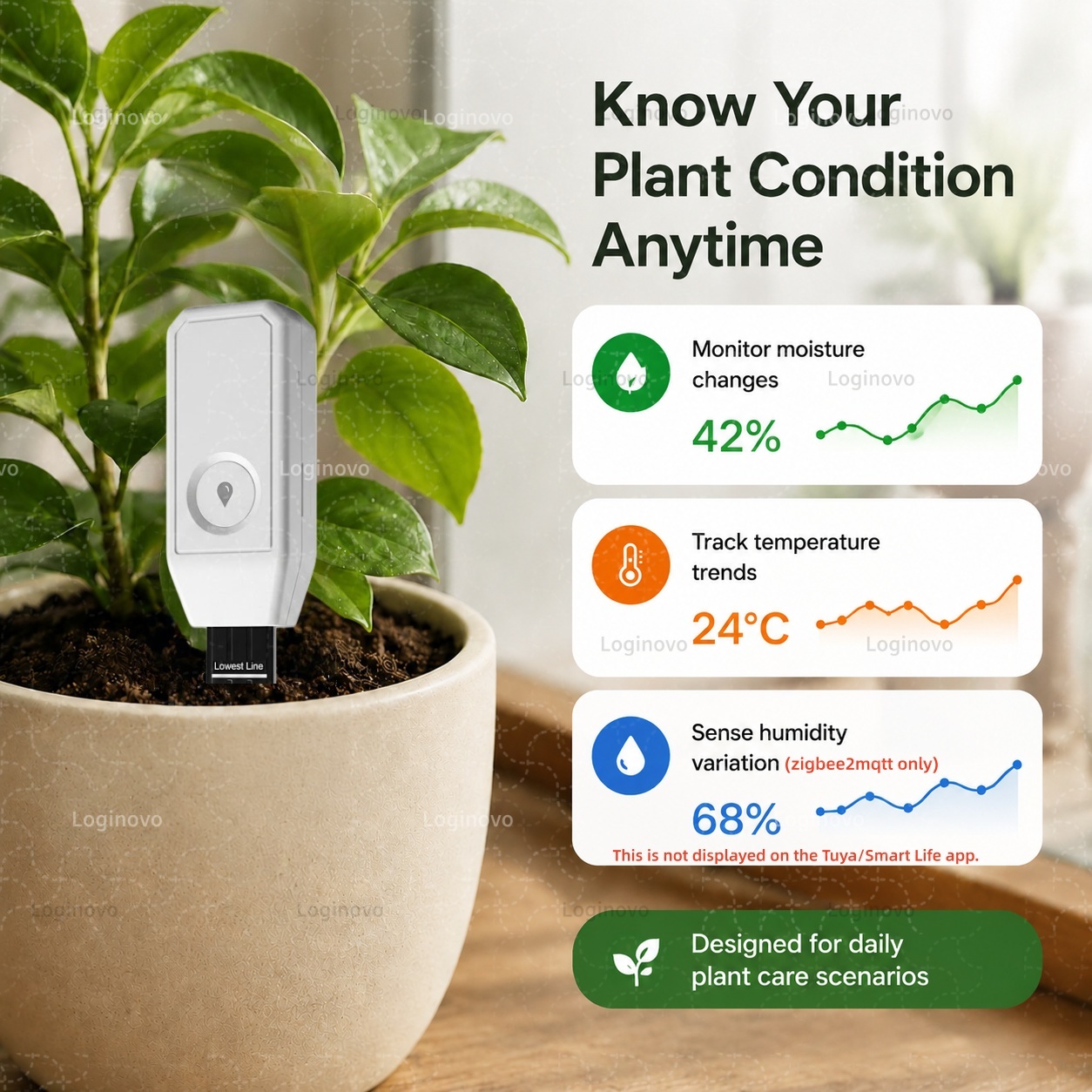 Tuya Zigbee Penguji Kelembapan - Home Automation Technology ulasan dan harga